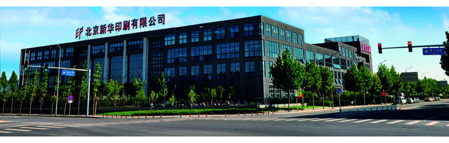 超越期望，實(shí)現(xiàn)夢(mèng)想:卓越客戶(hù)服務(wù)的案例研究